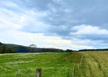SUPERINTENDENTE DO INCRA DE SANTA CATARINA SE PRONUNCIA SOBRE A FAZENDA VOLTA GRANDE EM ZORTÉA