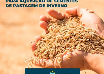 SECRETARIA DE AGRICULTURA DE ZORTÉA OFERECE INCENTIVO PARA COMPRA DE SEMENTES DE PASTAGEM AOS PRODUTORES