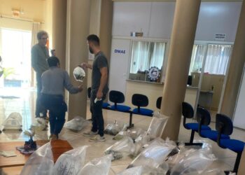 Secretaria de Agricultura de Zortéa realiza entrega de alevinos