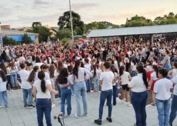 Abertura do Natal Encantado reúne grande público em Zortéa