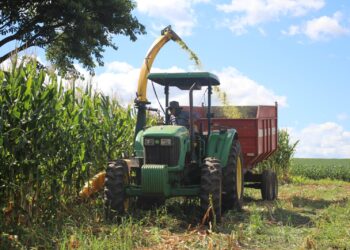 Secretaria de Agricultura de Zortéa inicia atividades do ano de 2026