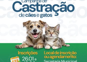 Prefeitura de Zortéa abre inscrições para castração de cães e gatos