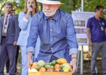 Lula: qualidade do agro é essencial para ampliar exportações