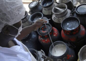 CMN libera linha de capital de giro a cooperativas de leite no Pronaf